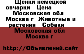 Щенки немецкой овчарки › Цена ­ 10 000 - Московская обл., Москва г. Животные и растения » Собаки   . Московская обл.,Москва г.